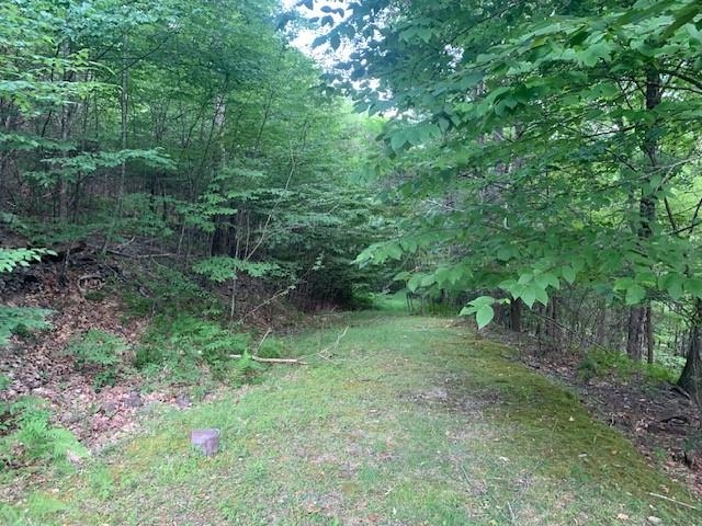 3657 HIGHLAND TPKE, MONTEREY, Virginia 24465, 6 Bedrooms Bedrooms, ,4 BathroomsBathrooms,Residential,14,3657 HIGHLAND TPKE,655154 MLS # 655154