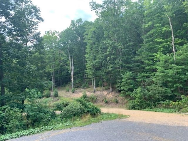 3657 HIGHLAND TPKE, MONTEREY, Virginia 24465, 6 Bedrooms Bedrooms, ,4 BathroomsBathrooms,Residential,14,3657 HIGHLAND TPKE,655154 MLS # 655154