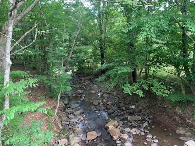 3657 HIGHLAND TPKE, MONTEREY, Virginia 24465, 6 Bedrooms Bedrooms, ,4 BathroomsBathrooms,Residential,14,3657 HIGHLAND TPKE,655154 MLS # 655154