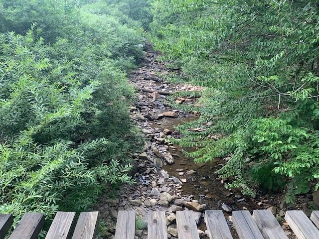 3657 HIGHLAND TPKE, MONTEREY, Virginia 24465, 6 Bedrooms Bedrooms, ,4 BathroomsBathrooms,Residential,14,3657 HIGHLAND TPKE,655154 MLS # 655154