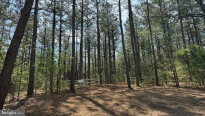 TBD TRACT 3 COVERED BRIDGE RD KENTS STORE Virginia 23084