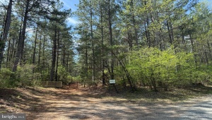 TBD TRACT 4 COVERED BRIDGE RD KENTS STORE Virginia 23084