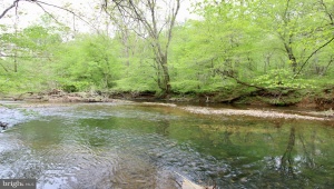 XXXX TAPPS FORD RD MARSHALL Virginia 20115