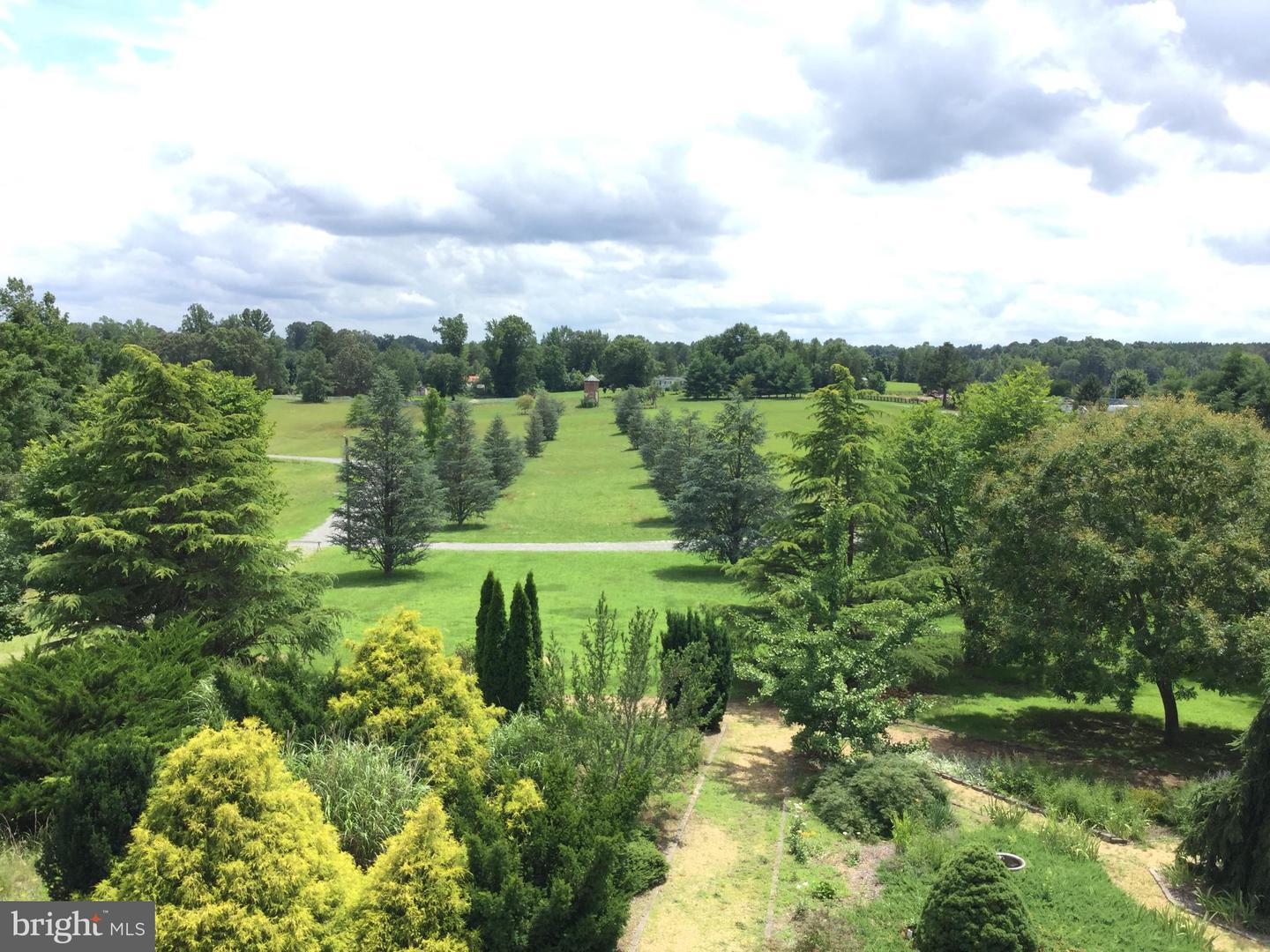 5902 PATRIOT HWY, WOODFORD, Virginia 22580, 4 Bedrooms Bedrooms, ,4 BathroomsBathrooms,Farm,For Sale,5902 PATRIOT HWY,VASP2032616 MLS # VASP2032616