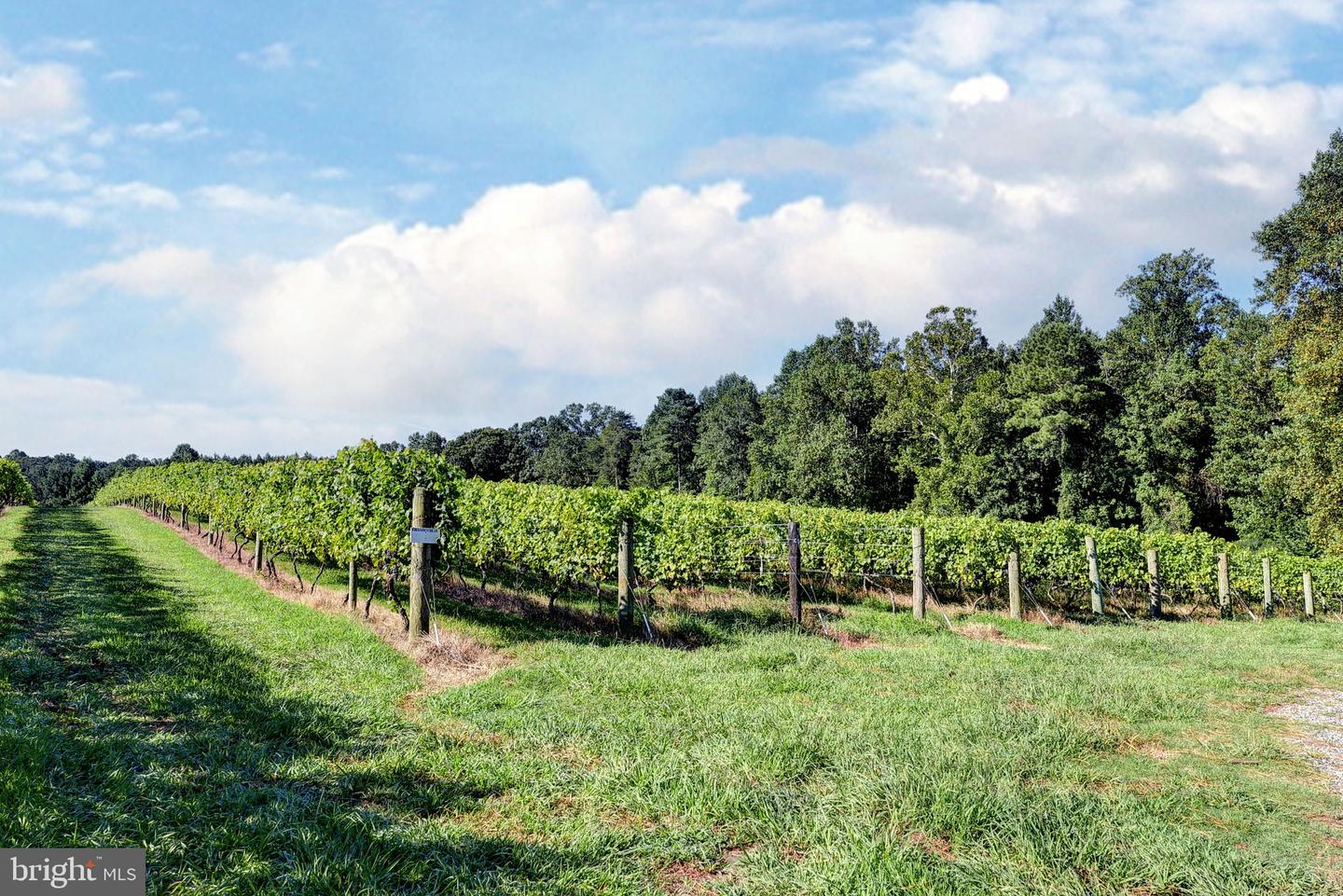 1025 GOOD LUCK RD, KILMARNOCK, Virginia 22482, ,Farm,For Sale,1025 GOOD LUCK RD,VALV2000784 MLS # VALV2000784