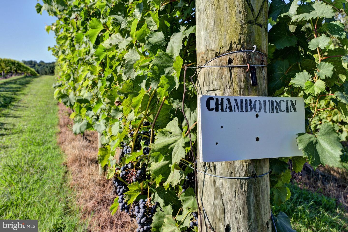 1025 GOOD LUCK RD, KILMARNOCK, Virginia 22482, ,Farm,For Sale,1025 GOOD LUCK RD,VALV2000784 MLS # VALV2000784