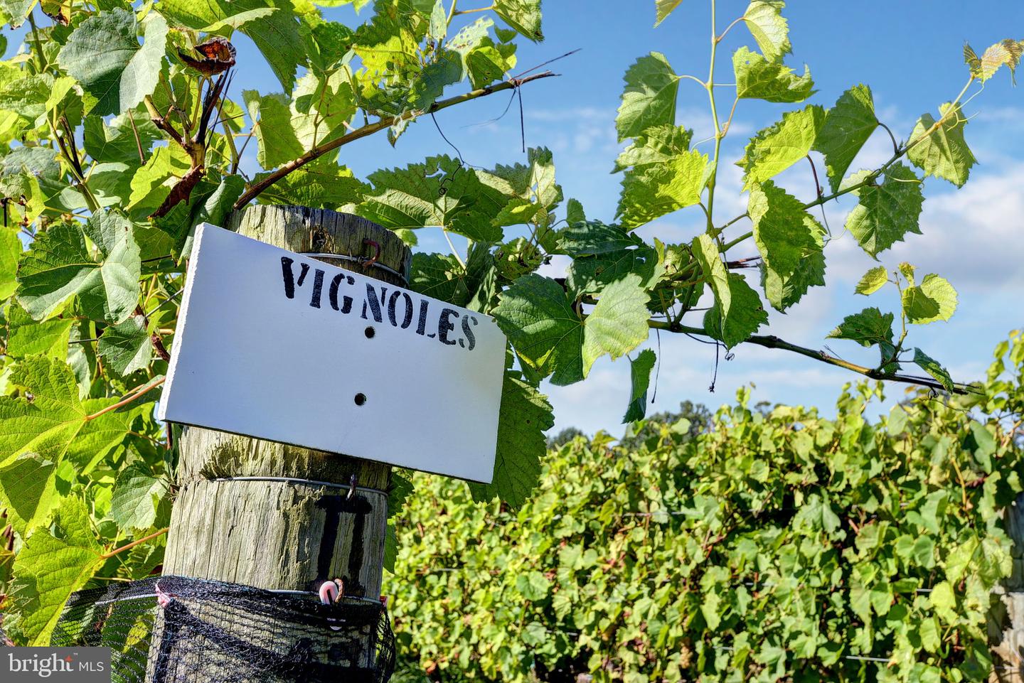 1025 GOOD LUCK RD, KILMARNOCK, Virginia 22482, ,Farm,For Sale,1025 GOOD LUCK RD,VALV2000784 MLS # VALV2000784