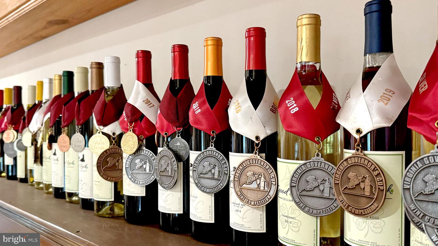 1025 GOOD LUCK RD, KILMARNOCK, Virginia 22482, ,Farm,For Sale,1025 GOOD LUCK RD,VALV2000784 MLS # VALV2000784