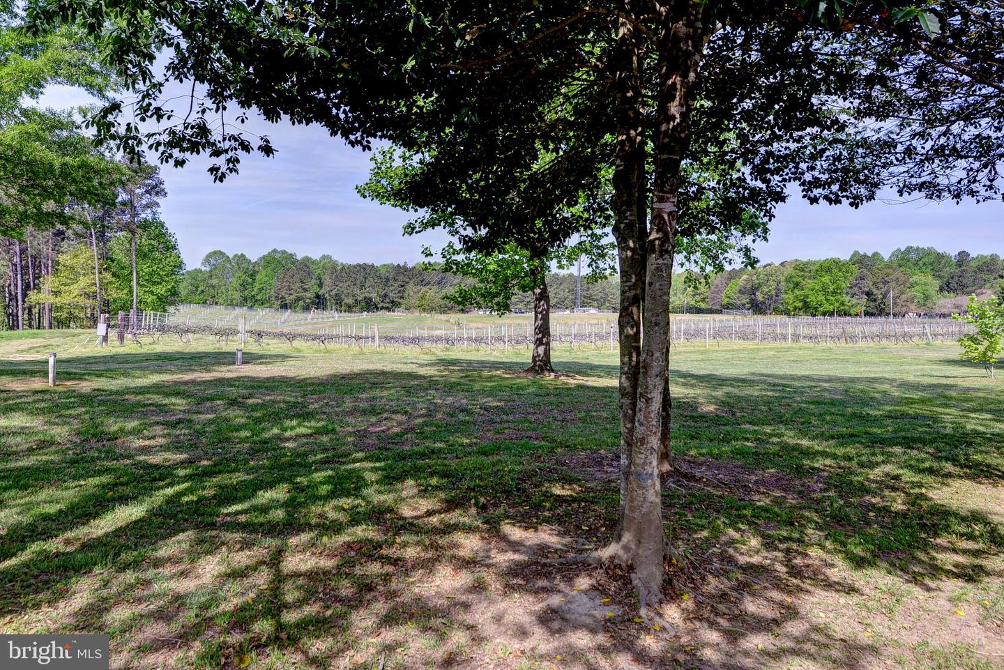 1025 GOOD LUCK RD, KILMARNOCK, Virginia 22482, ,Farm,For Sale,1025 GOOD LUCK RD,VALV2000784 MLS # VALV2000784