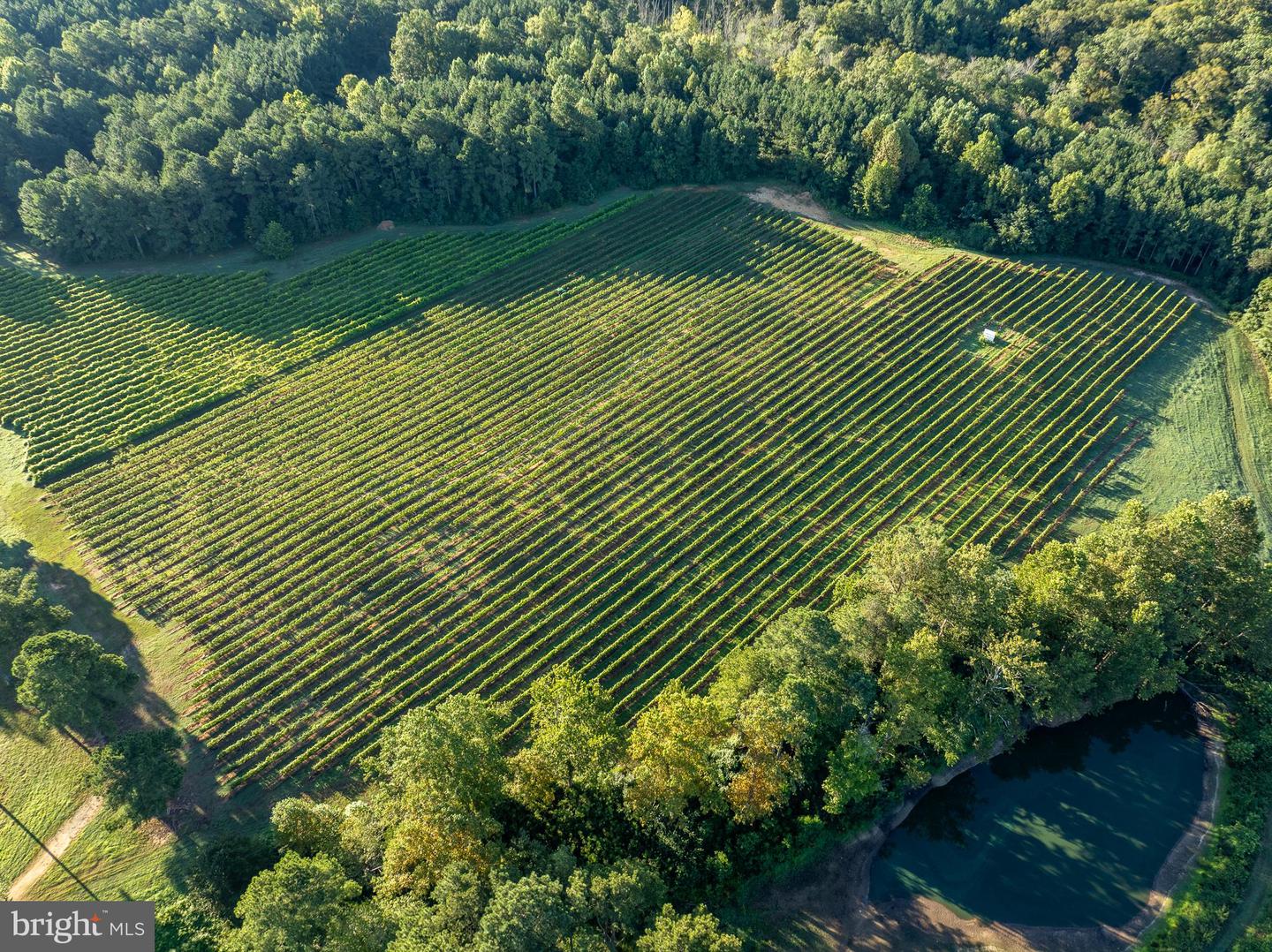 1025 GOOD LUCK RD, KILMARNOCK, Virginia 22482, ,Farm,For Sale,1025 GOOD LUCK RD,VALV2000786 MLS # VALV2000786