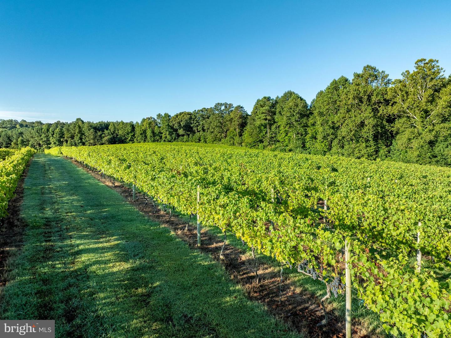 1025 GOOD LUCK RD, KILMARNOCK, Virginia 22482, ,Farm,For Sale,1025 GOOD LUCK RD,VALV2000786 MLS # VALV2000786