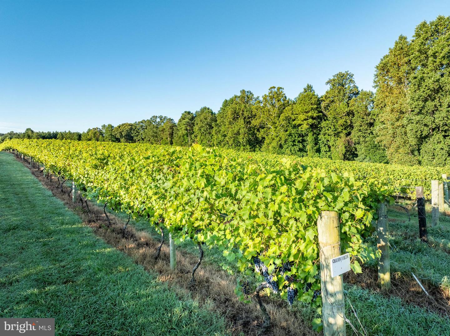 1025 GOOD LUCK RD, KILMARNOCK, Virginia 22482, ,Farm,For Sale,1025 GOOD LUCK RD,VALV2000786 MLS # VALV2000786