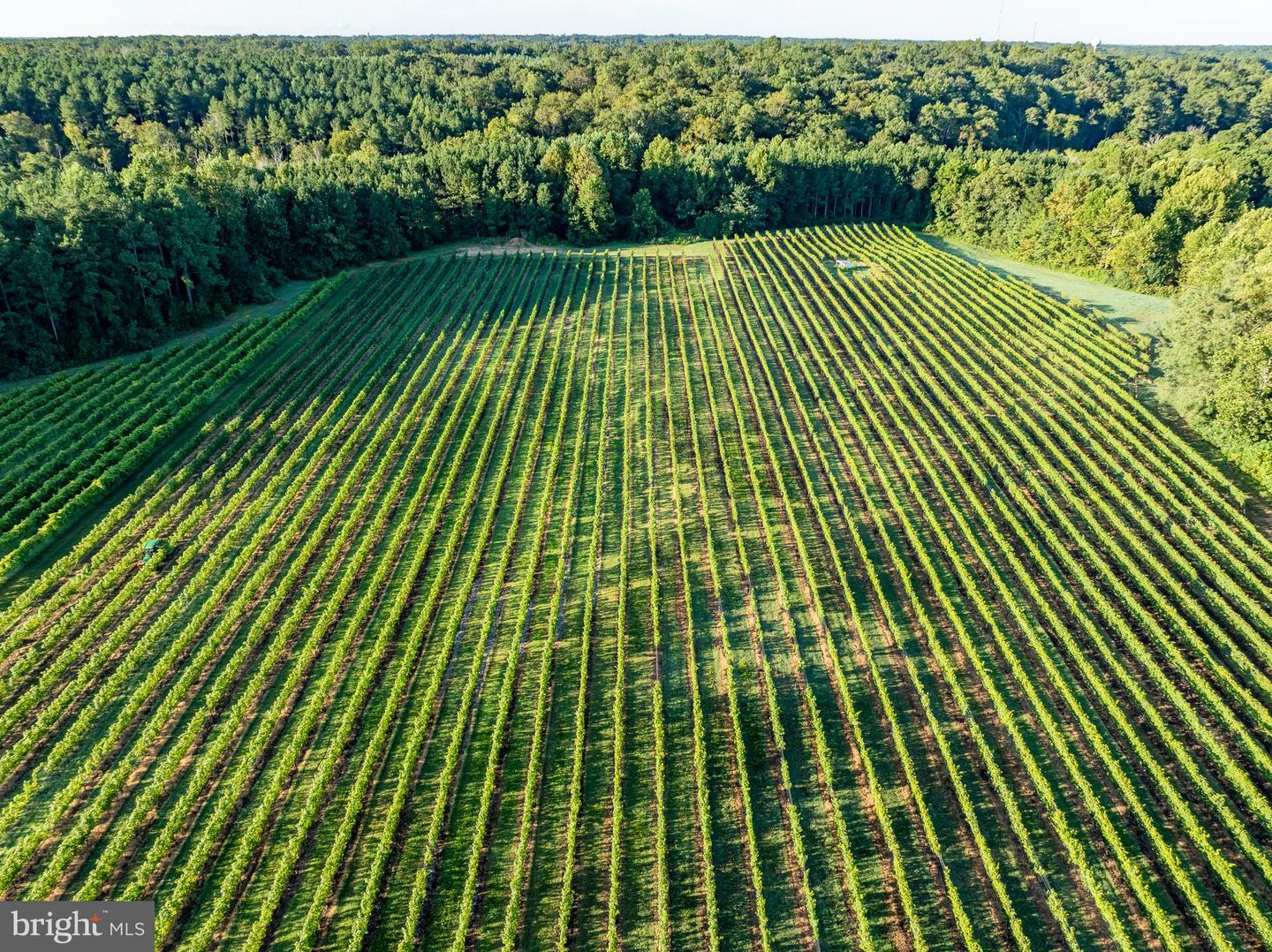 1025 GOOD LUCK RD, KILMARNOCK, Virginia 22482, ,Farm,For Sale,1025 GOOD LUCK RD,VALV2000786 MLS # VALV2000786