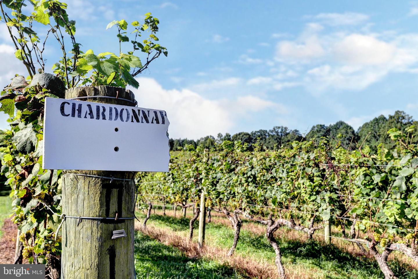 1025 GOOD LUCK RD, KILMARNOCK, Virginia 22482, ,Farm,For Sale,1025 GOOD LUCK RD,VALV2000786 MLS # VALV2000786