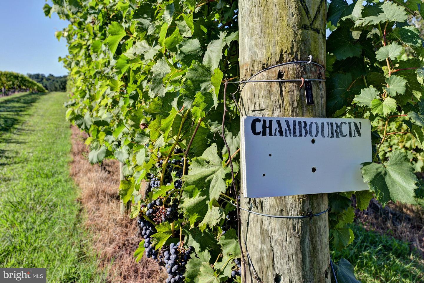 1025 GOOD LUCK RD, KILMARNOCK, Virginia 22482, ,Farm,For Sale,1025 GOOD LUCK RD,VALV2000786 MLS # VALV2000786