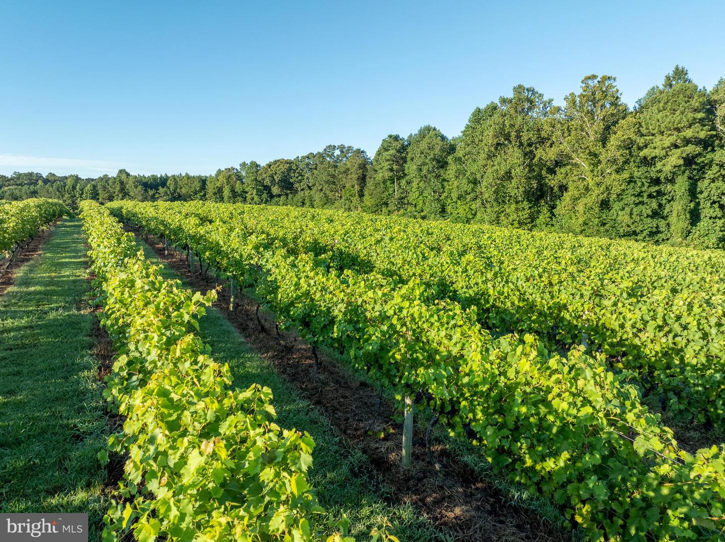 1025 GOOD LUCK RD, KILMARNOCK, Virginia 22482, ,Farm,For Sale,1025 GOOD LUCK RD,VALV2000786 MLS # VALV2000786