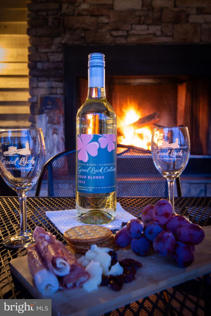 1025 GOOD LUCK RD, KILMARNOCK, Virginia 22482, ,Farm,For Sale,1025 GOOD LUCK RD,VALV2000786 MLS # VALV2000786