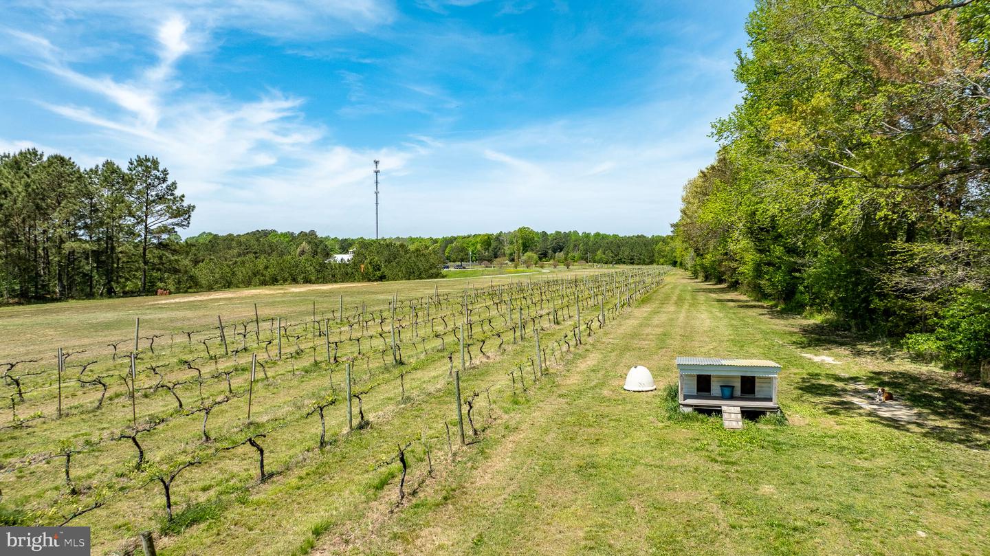 1025 GOOD LUCK RD, KILMARNOCK, Virginia 22482, ,Farm,For Sale,1025 GOOD LUCK RD,VALV2000786 MLS # VALV2000786