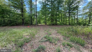 4612 KING WILLIAM RD AYLETT Virginia 23009