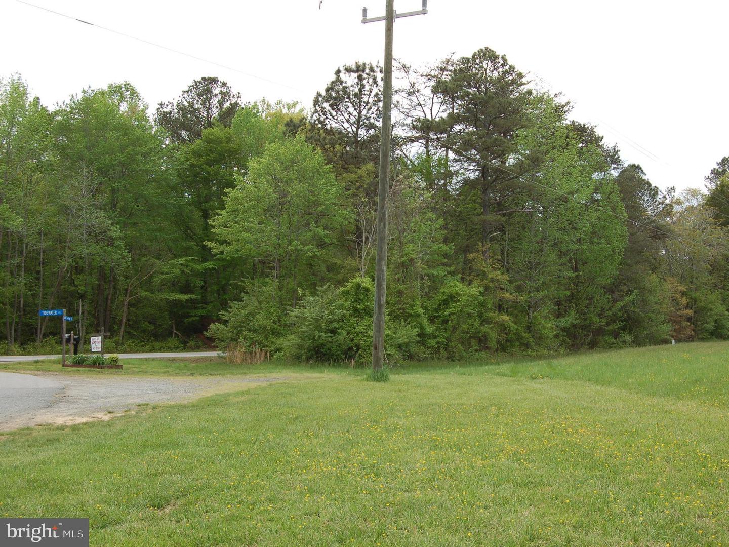 000 TIDEWATER TRAIL, RAPPAHANNOCK ACADEMY, Virginia 22538, ,Land,For Sale,000 TIDEWATER TRAIL,VACV2008078 MLS # VACV2008078