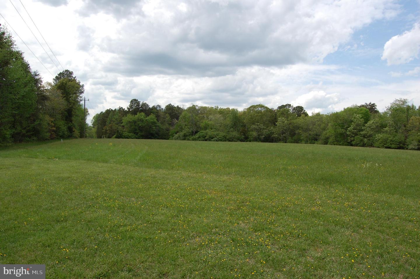 000 TIDEWATER TRAIL, RAPPAHANNOCK ACADEMY, Virginia 22538, ,Land,For Sale,000 TIDEWATER TRAIL,VACV2008078 MLS # VACV2008078