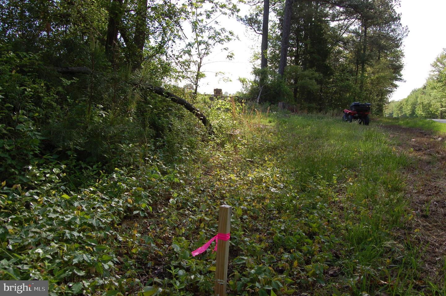 000 TIDEWATER TRAIL, RAPPAHANNOCK ACADEMY, Virginia 22538, ,Land,For Sale,000 TIDEWATER TRAIL,VACV2008078 MLS # VACV2008078