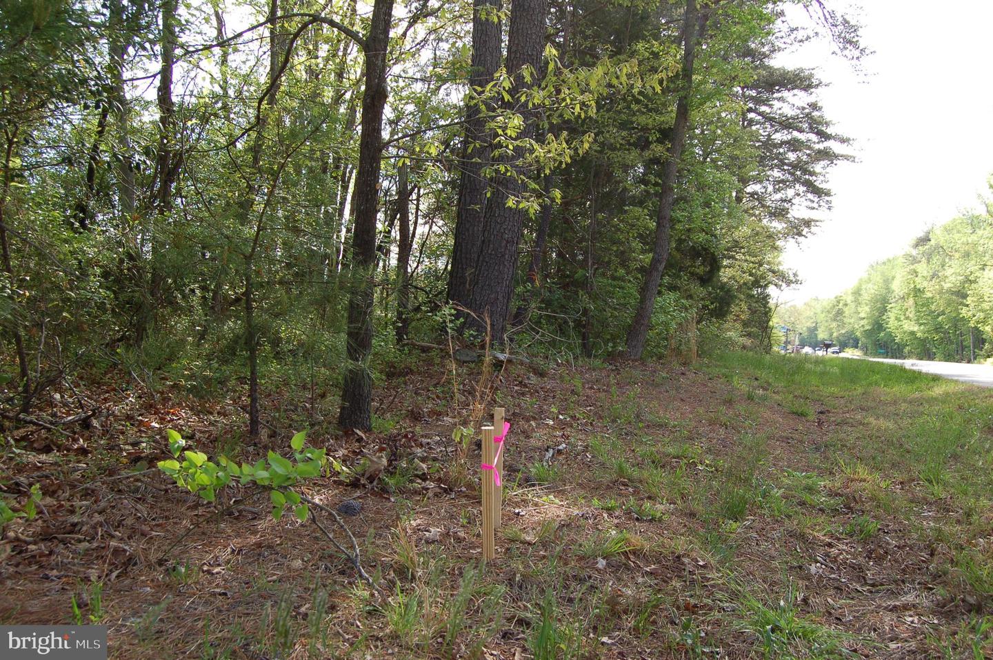 000 TIDEWATER TRAIL, RAPPAHANNOCK ACADEMY, Virginia 22538, ,Land,For Sale,000 TIDEWATER TRAIL,VACV2008078 MLS # VACV2008078