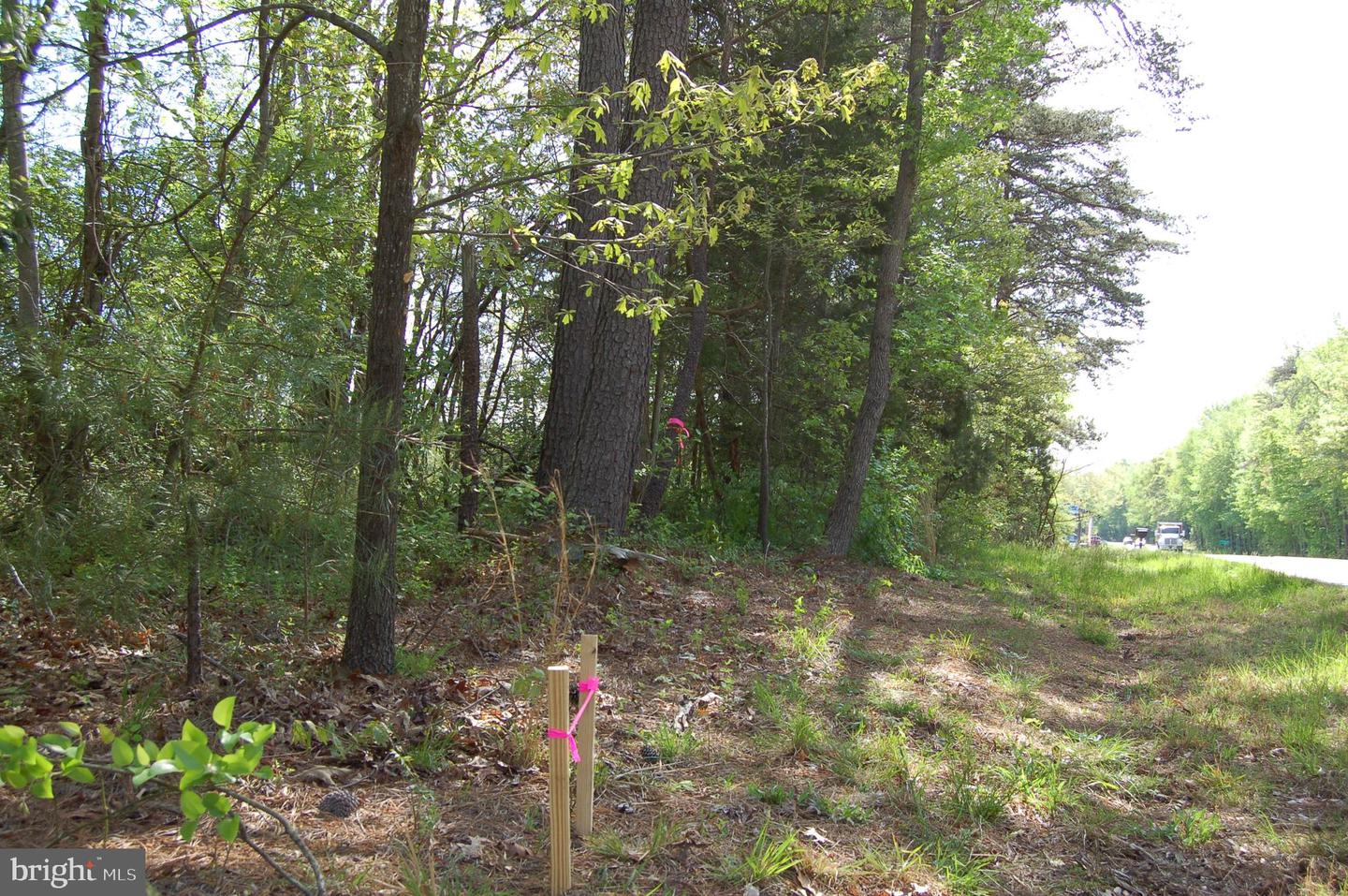 000 TIDEWATER TRAIL, RAPPAHANNOCK ACADEMY, Virginia 22538, ,Land,For Sale,000 TIDEWATER TRAIL,VACV2008078 MLS # VACV2008078