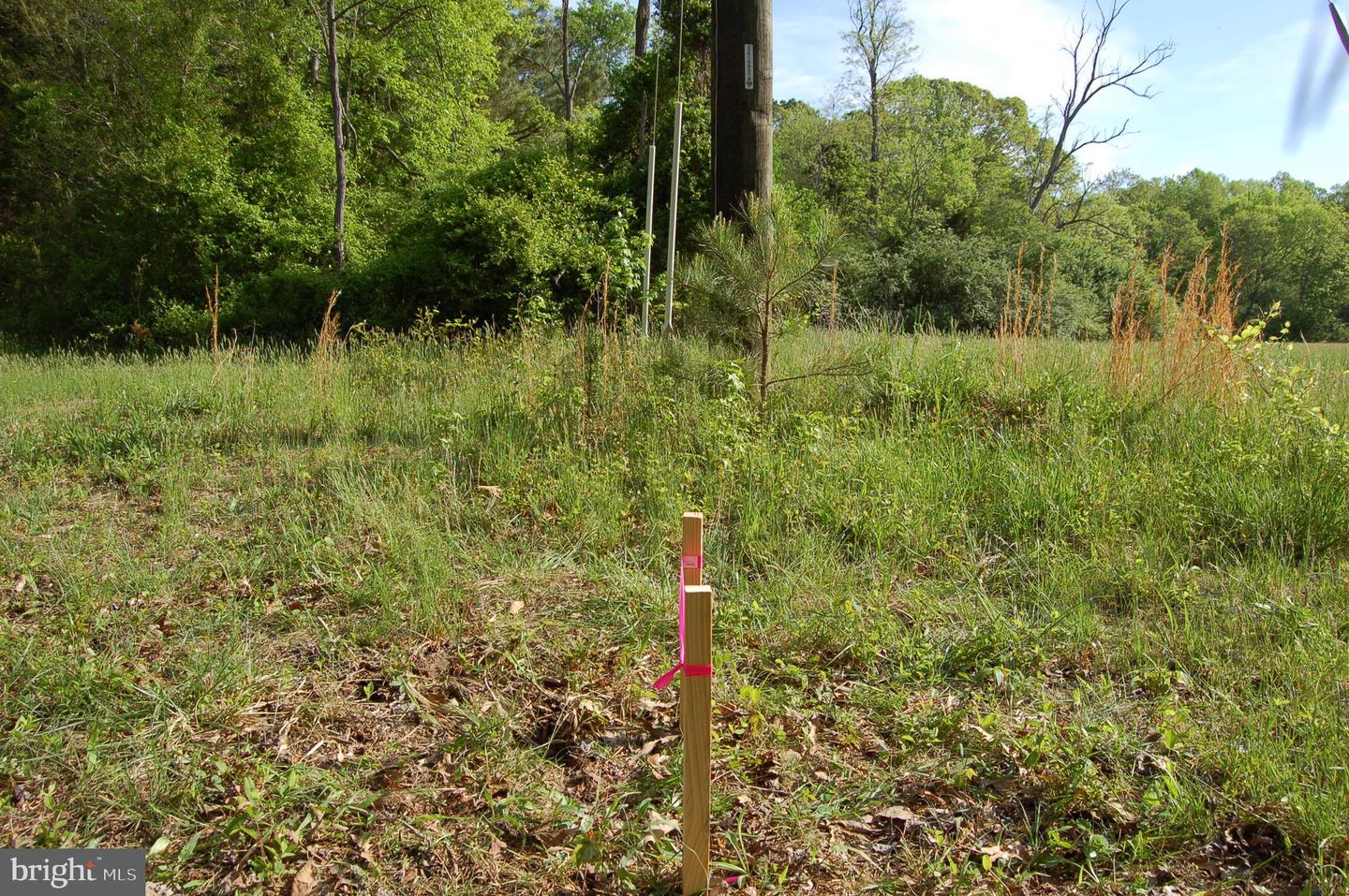 000 TIDEWATER TRAIL, RAPPAHANNOCK ACADEMY, Virginia 22538, ,Land,For Sale,000 TIDEWATER TRAIL,VACV2008078 MLS # VACV2008078