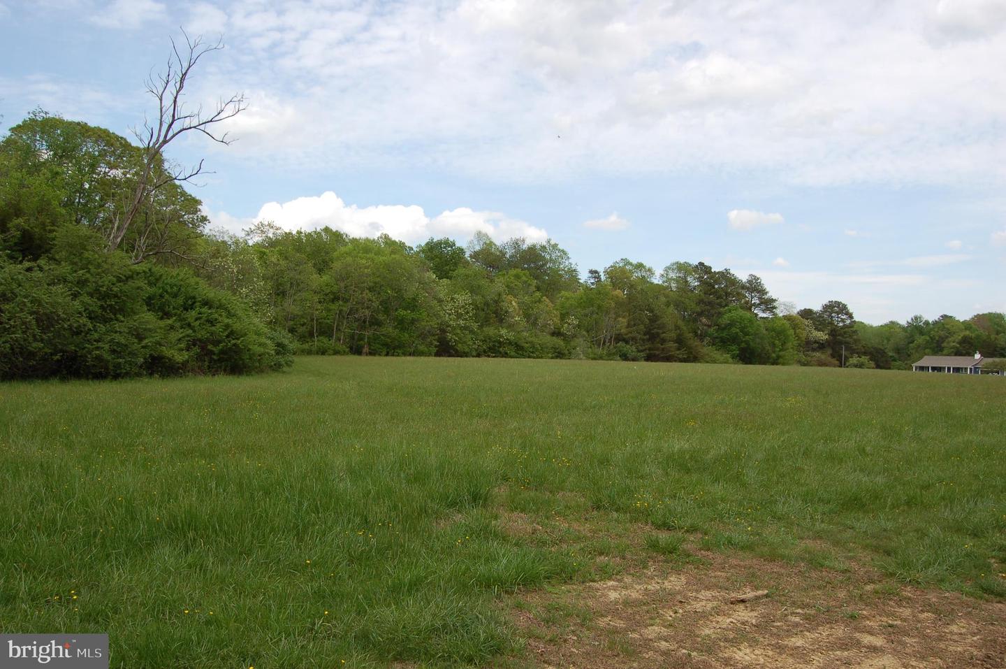 000 TIDEWATER TRAIL, RAPPAHANNOCK ACADEMY, Virginia 22538, ,Land,For Sale,000 TIDEWATER TRAIL,VACV2008078 MLS # VACV2008078