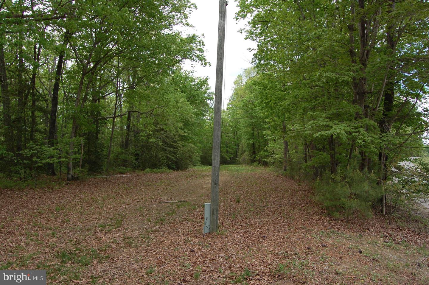 000 TIDEWATER TRAIL, RAPPAHANNOCK ACADEMY, Virginia 22538, ,Land,For Sale,000 TIDEWATER TRAIL,VACV2008078 MLS # VACV2008078