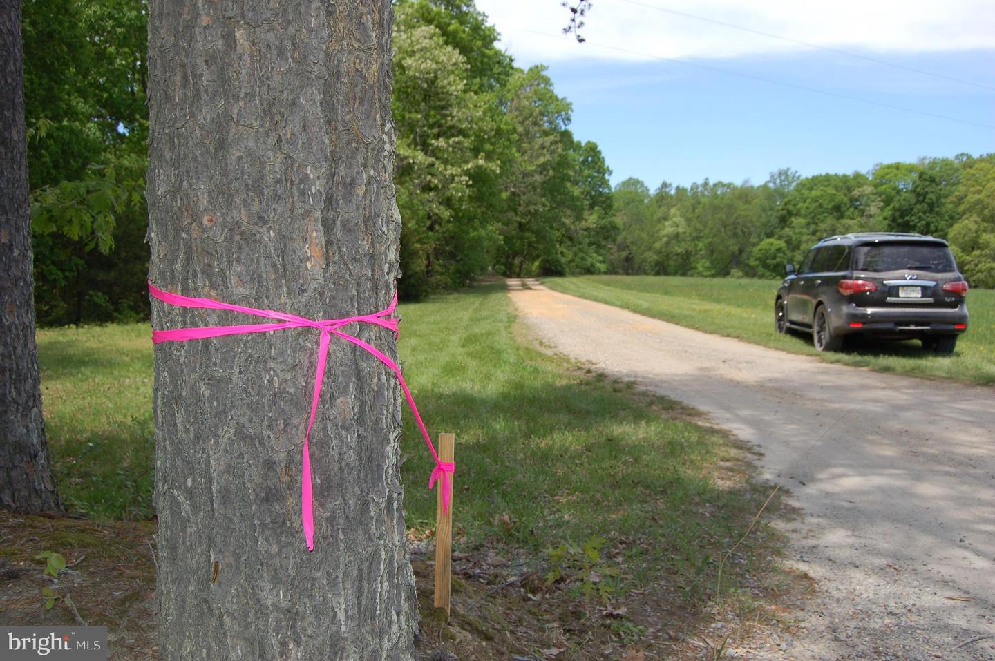 000 TIDEWATER TRAIL, RAPPAHANNOCK ACADEMY, Virginia 22538, ,Land,For Sale,000 TIDEWATER TRAIL,VACV2008078 MLS # VACV2008078