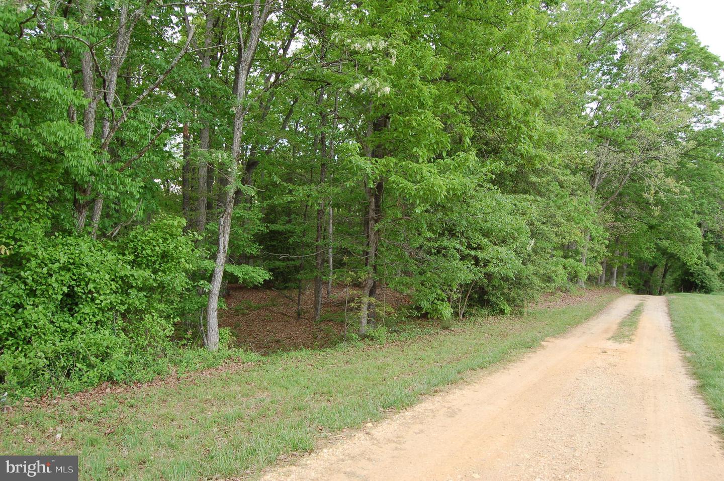 000 TIDEWATER TRAIL, RAPPAHANNOCK ACADEMY, Virginia 22538, ,Land,For Sale,000 TIDEWATER TRAIL,VACV2008078 MLS # VACV2008078