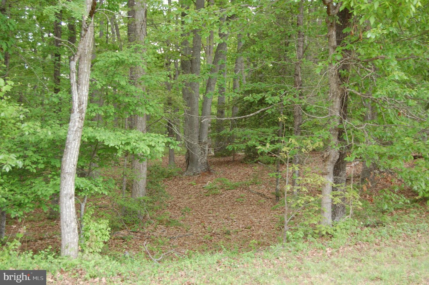 000 TIDEWATER TRAIL, RAPPAHANNOCK ACADEMY, Virginia 22538, ,Land,For Sale,000 TIDEWATER TRAIL,VACV2008078 MLS # VACV2008078