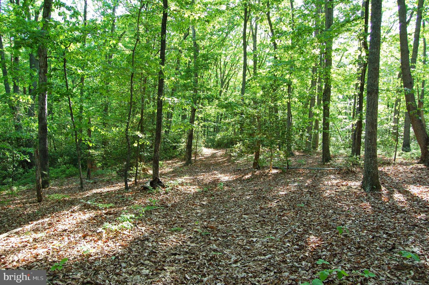 000 TIDEWATER TRAIL, RAPPAHANNOCK ACADEMY, Virginia 22538, ,Land,For Sale,000 TIDEWATER TRAIL,VACV2008078 MLS # VACV2008078