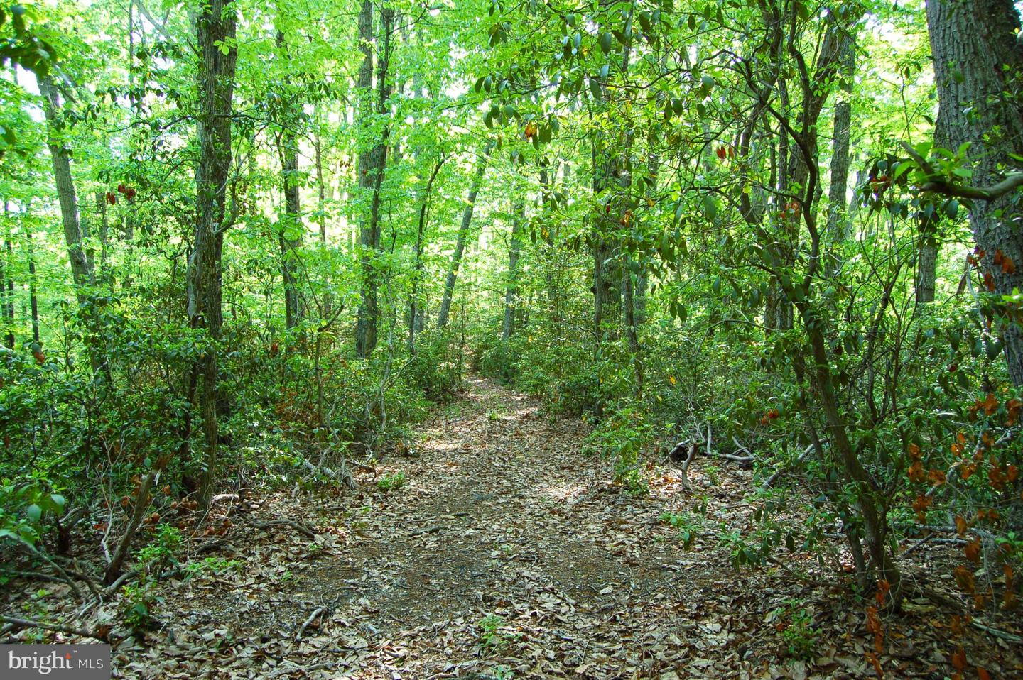 000 TIDEWATER TRAIL, RAPPAHANNOCK ACADEMY, Virginia 22538, ,Land,For Sale,000 TIDEWATER TRAIL,VACV2008078 MLS # VACV2008078