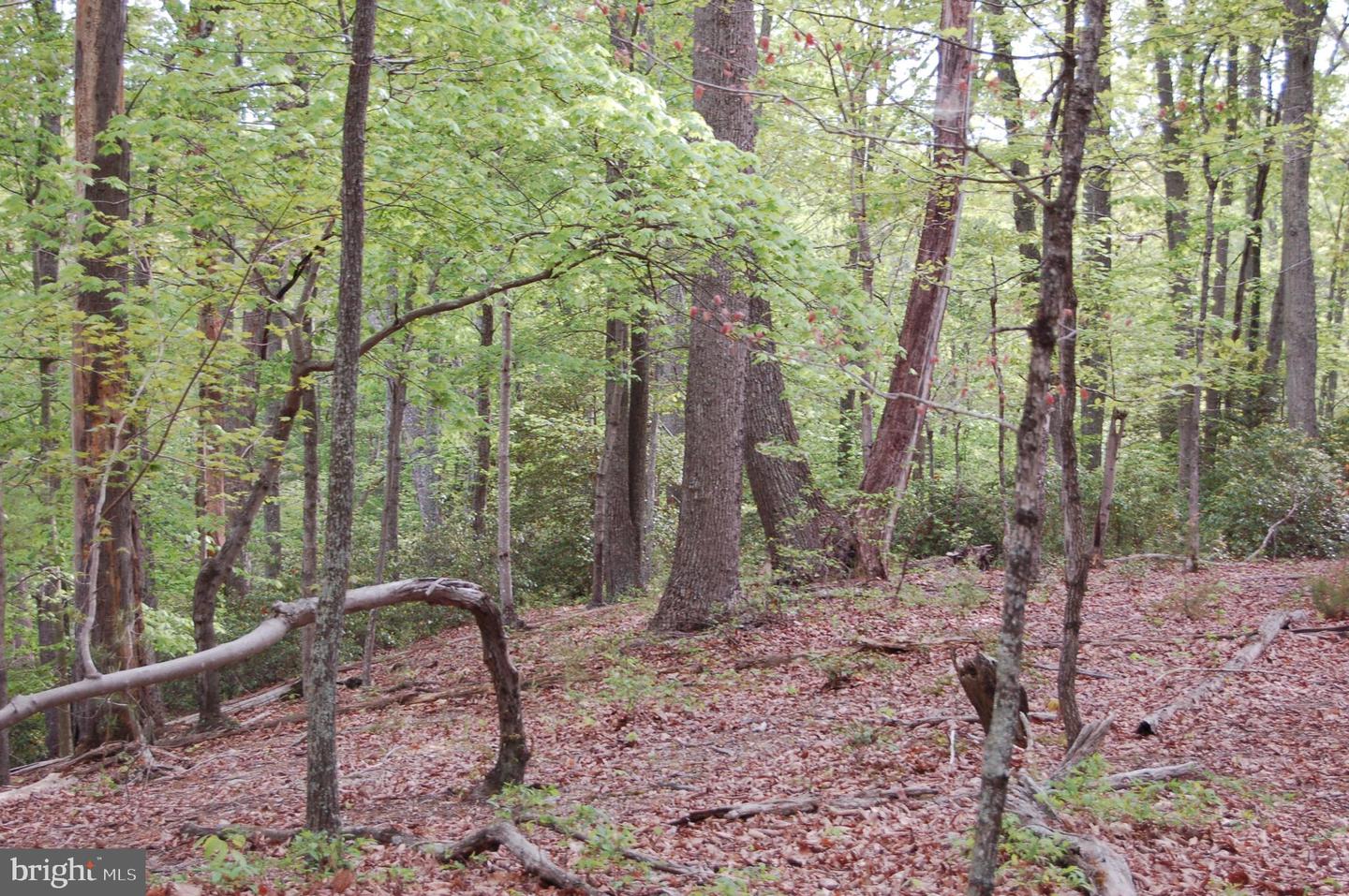 000 TIDEWATER TRAIL, RAPPAHANNOCK ACADEMY, Virginia 22538, ,Land,For Sale,000 TIDEWATER TRAIL,VACV2008078 MLS # VACV2008078