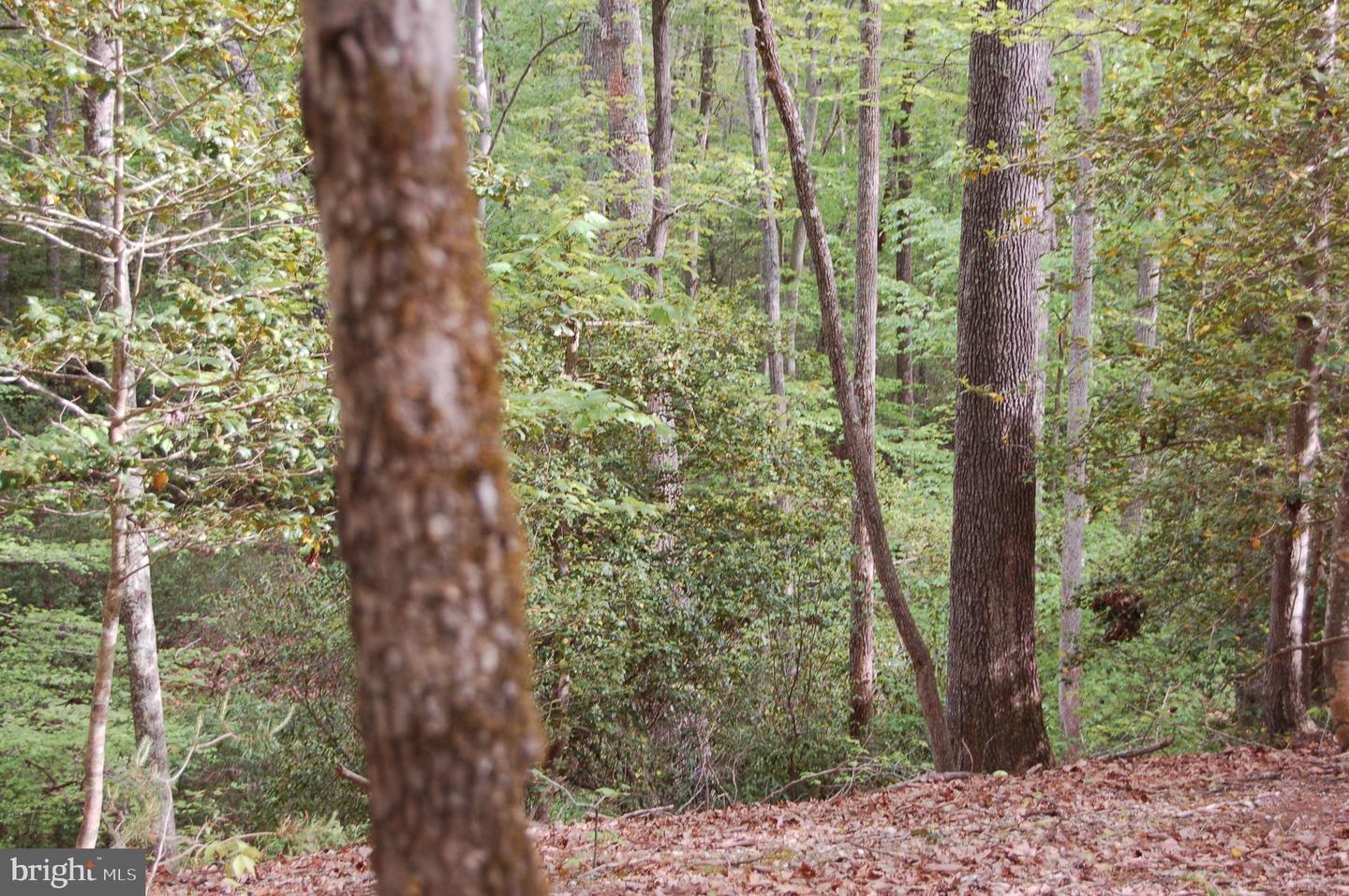 000 TIDEWATER TRAIL, RAPPAHANNOCK ACADEMY, Virginia 22538, ,Land,For Sale,000 TIDEWATER TRAIL,VACV2008078 MLS # VACV2008078