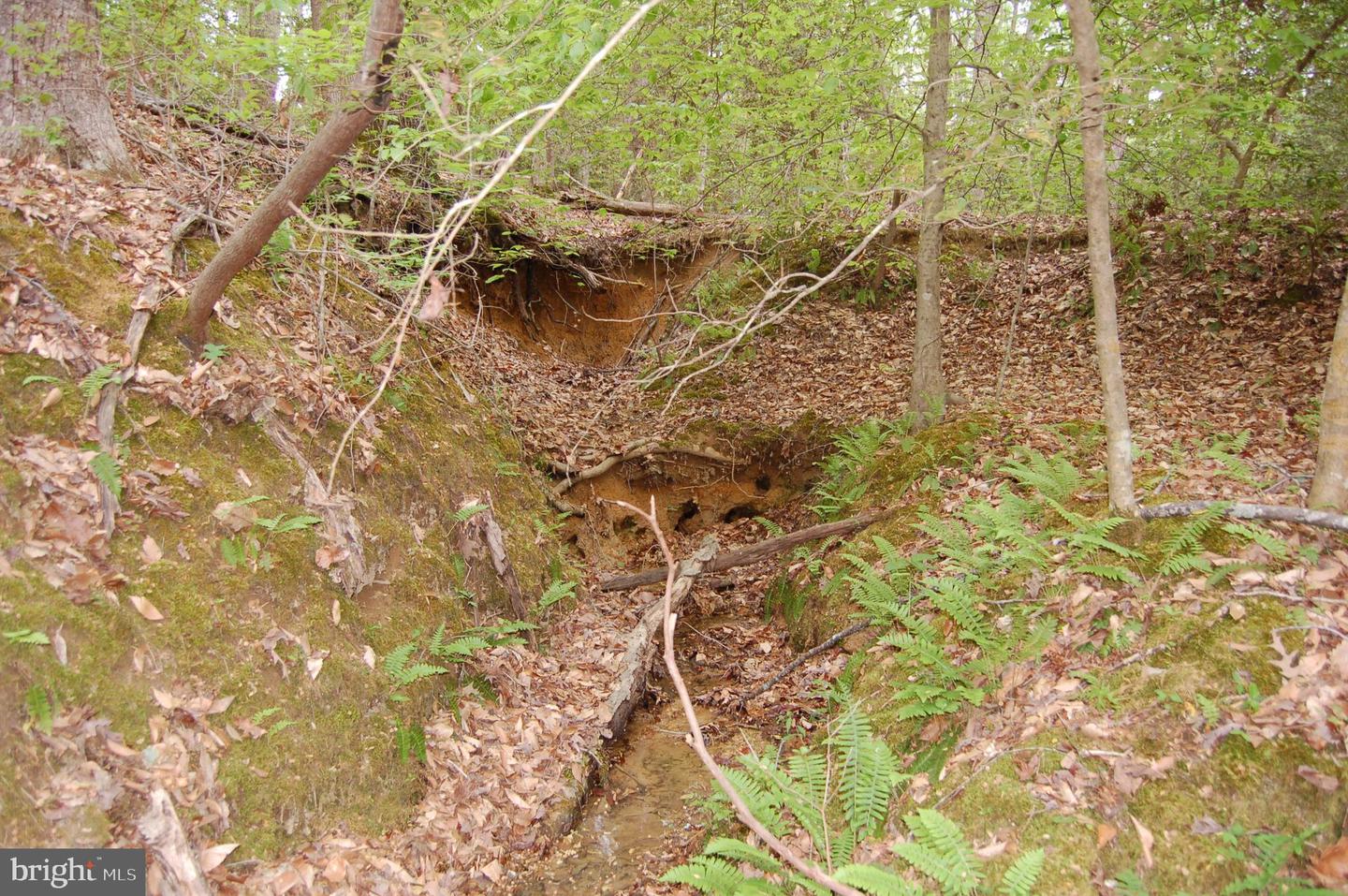 000 TIDEWATER TRAIL, RAPPAHANNOCK ACADEMY, Virginia 22538, ,Land,For Sale,000 TIDEWATER TRAIL,VACV2008078 MLS # VACV2008078