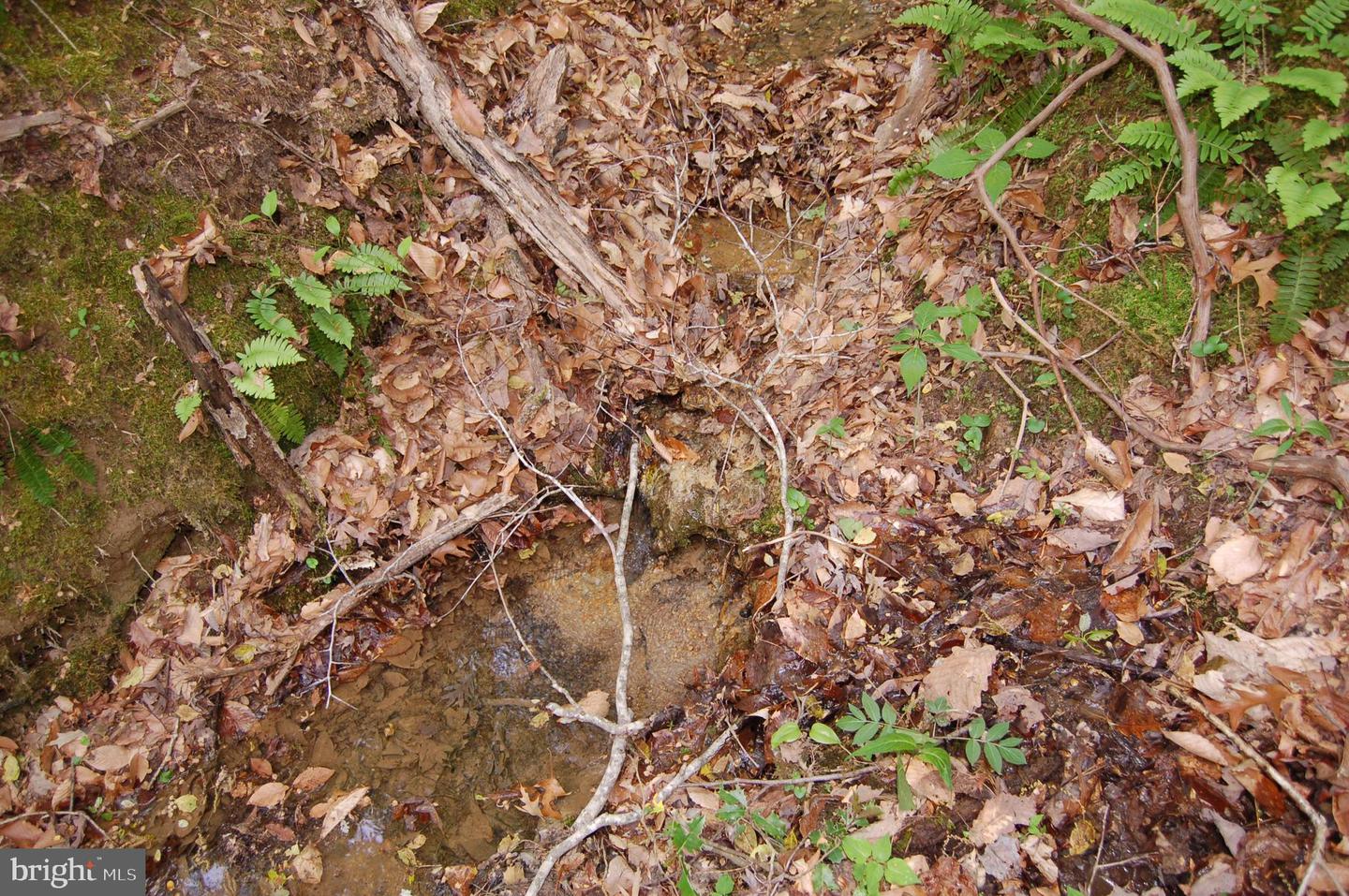 000 TIDEWATER TRAIL, RAPPAHANNOCK ACADEMY, Virginia 22538, ,Land,For Sale,000 TIDEWATER TRAIL,VACV2008078 MLS # VACV2008078