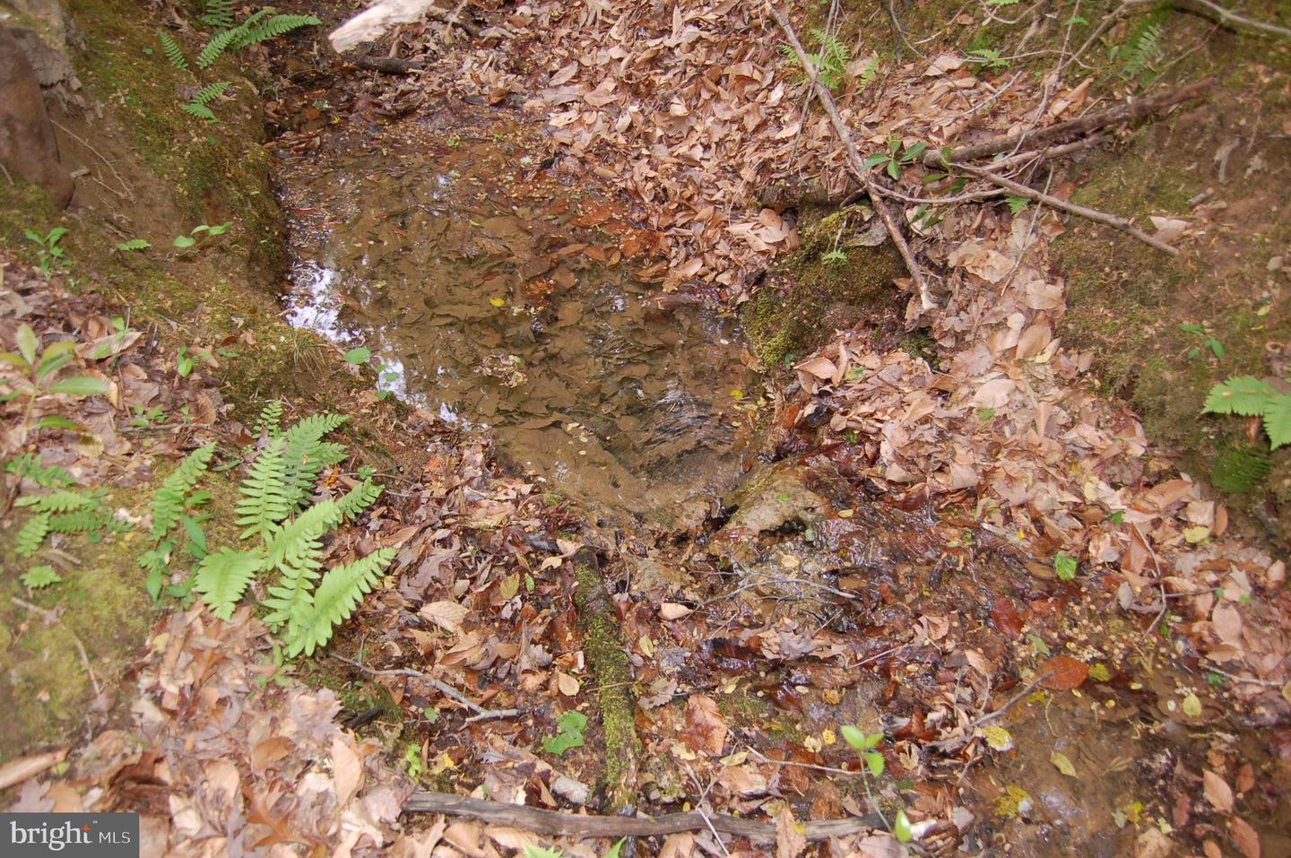 000 TIDEWATER TRAIL, RAPPAHANNOCK ACADEMY, Virginia 22538, ,Land,For Sale,000 TIDEWATER TRAIL,VACV2008078 MLS # VACV2008078