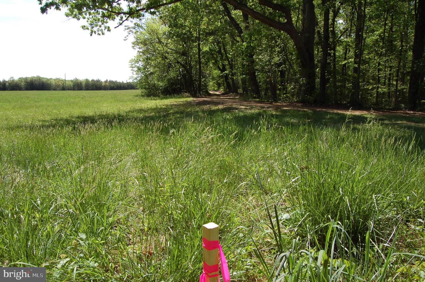 000 TIDEWATER TRAIL, RAPPAHANNOCK ACADEMY, Virginia 22538, ,Land,For Sale,000 TIDEWATER TRAIL,VACV2008078 MLS # VACV2008078