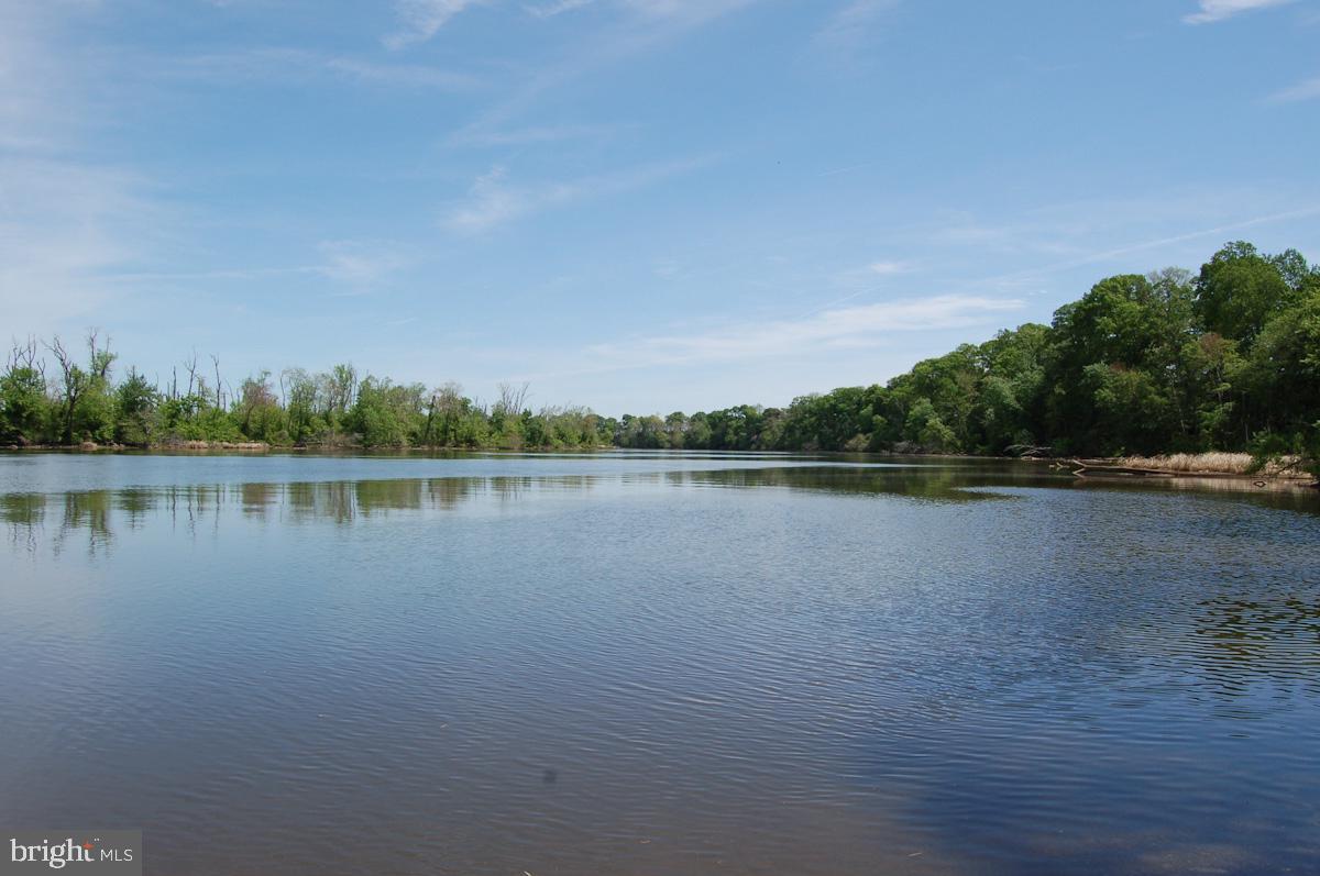 000 TIDEWATER TRAIL, RAPPAHANNOCK ACADEMY, Virginia 22538, ,Land,For Sale,000 TIDEWATER TRAIL,VACV2008078 MLS # VACV2008078