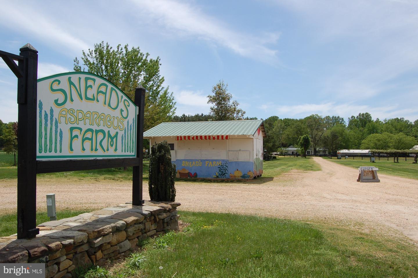 000 TIDEWATER TRAIL, RAPPAHANNOCK ACADEMY, Virginia 22538, ,Land,For Sale,000 TIDEWATER TRAIL,VACV2008078 MLS # VACV2008078