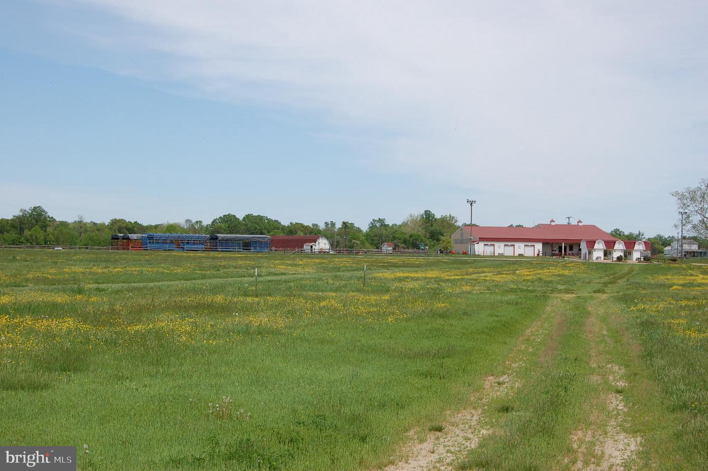 000 TIDEWATER TRAIL, RAPPAHANNOCK ACADEMY, Virginia 22538, ,Land,For Sale,000 TIDEWATER TRAIL,VACV2008078 MLS # VACV2008078