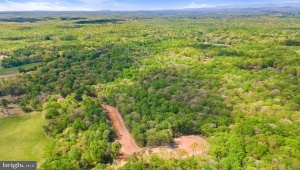 LOT 2 FLETCHER LN AMISSVILLE Virginia 20106