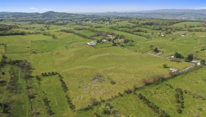14004 AMERICAN LEGION DR, BROADWAY, Virginia 22815, ,Farm,14,14004 AMERICAN LEGION DR,663964 MLS # 663964