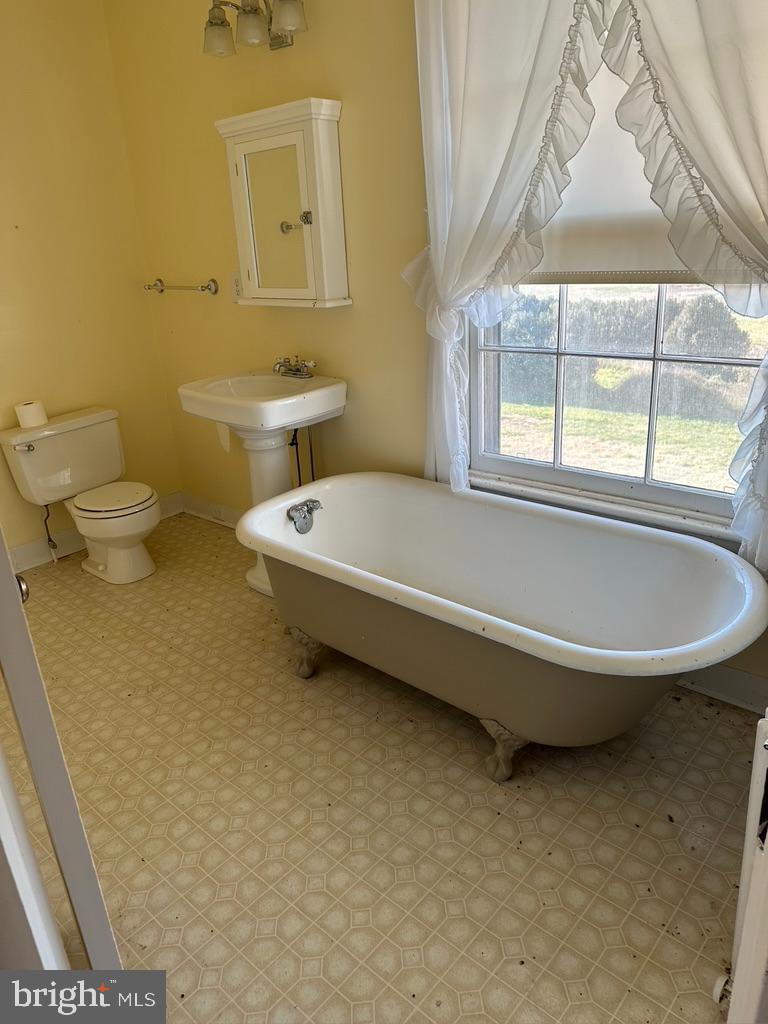 17736 AUBURN RD, BRANDY STATION, Virginia 22714, 5 Bedrooms Bedrooms, ,3 BathroomsBathrooms,Farm,For Sale,17736 AUBURN RD,VACU2010450 MLS # VACU2010450 17736 AUBURN RD, BRANDY STATION, Virginia 22714, 5 Bedrooms Bedrooms, ,3 BathroomsBathrooms,Farm,For Sale,17736 AUBURN RD,VACU2010450 MLS # VACU2010450