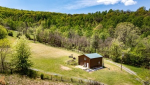 01 CUBBAGE HOLLOW RD, STANLEY, Virginia 22851, ,Farm,14,01 CUBBAGE HOLLOW RD,664010 MLS # 664010