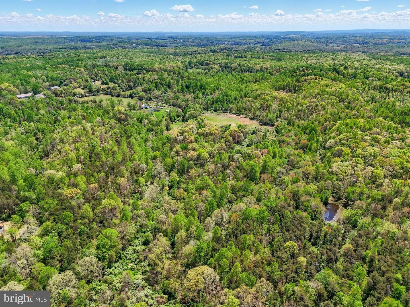 9324 RIXEYVILLE ROAD, CULPEPER, Virginia 22701, ,Farm,For Sale,9324 RIXEYVILLE ROAD,VACU2010470 MLS # VACU2010470 9324 RIXEYVILLE ROAD, CULPEPER, Virginia 22701, ,Farm,For Sale,9324 RIXEYVILLE ROAD,VACU2010470 MLS # VACU2010470